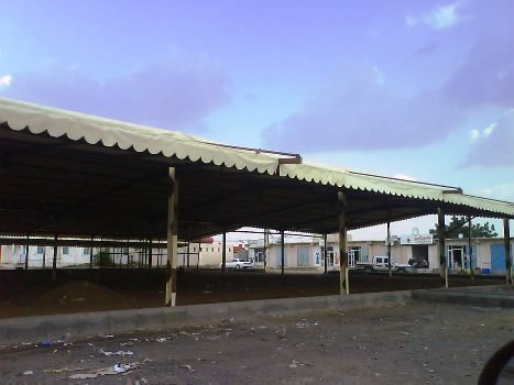 تركيب المظلات بكل انواعها dsc02965jpg 1