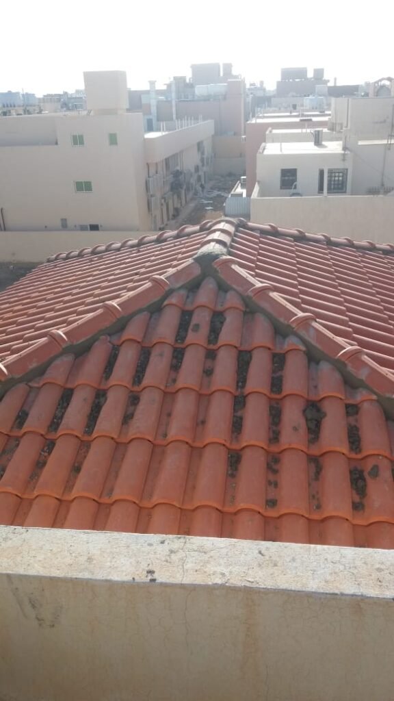 مقاول تركيب قرميد المملكة img 20240128 wa0041